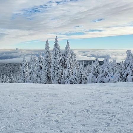 Chata Jeleni Drevenice S Vlastni Virivkou Horni Halze Exterior foto